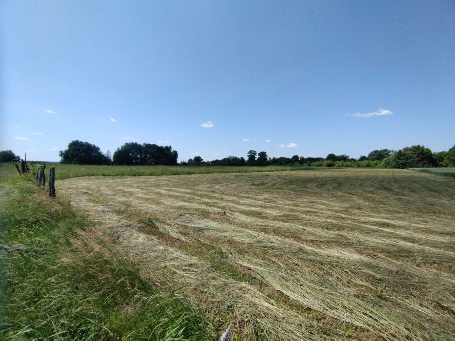 Продаж ділянки в селі Лукашівка 55сот. ОСГ