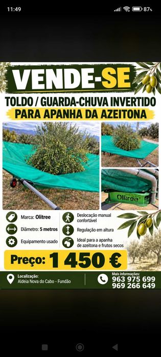Toldo para apanha de azeitona