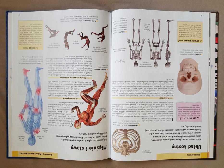 Księga wiedzy dla dzieci i młodzieży