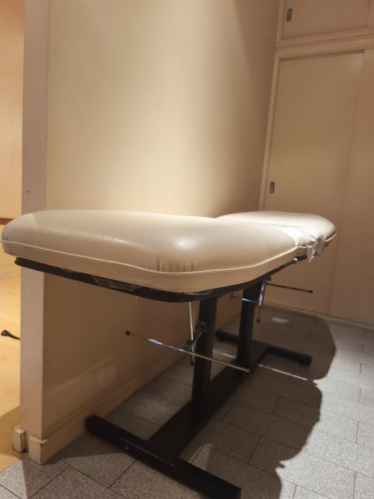 Marquesa, máquina LPJ, eletroestimulador, ventilador de ar (Porto)