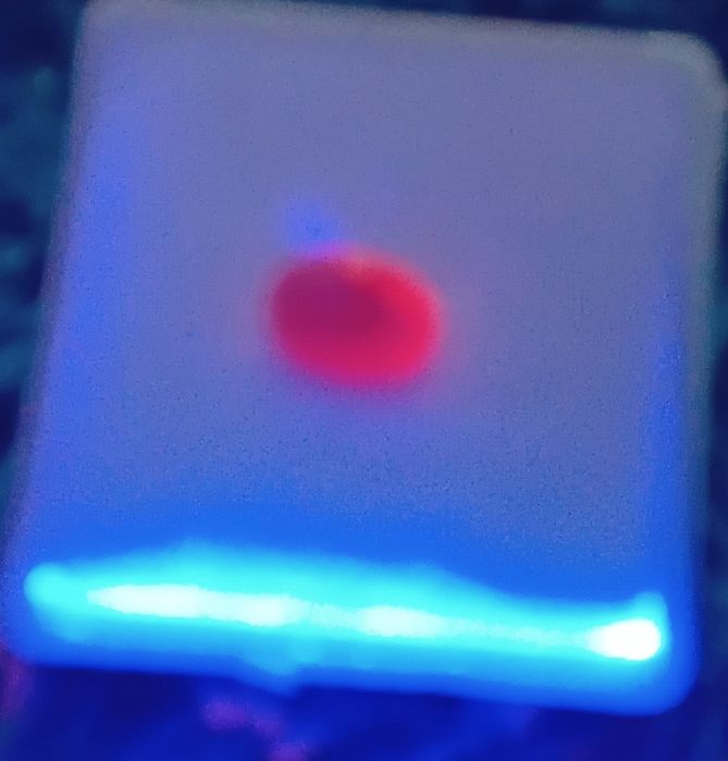 Brincos em Prata com Rubis Naturais Certificados