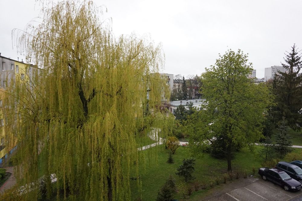 WYNAJM MIESZKANIE  KAWALERKA 35M  1500zł/msc !  ŁÓDŹ Retkinia Karolew