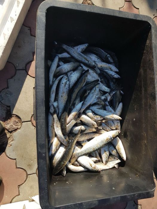 Дом по адресу (площадь 277 м²) - Atlanta.ua - фото 17