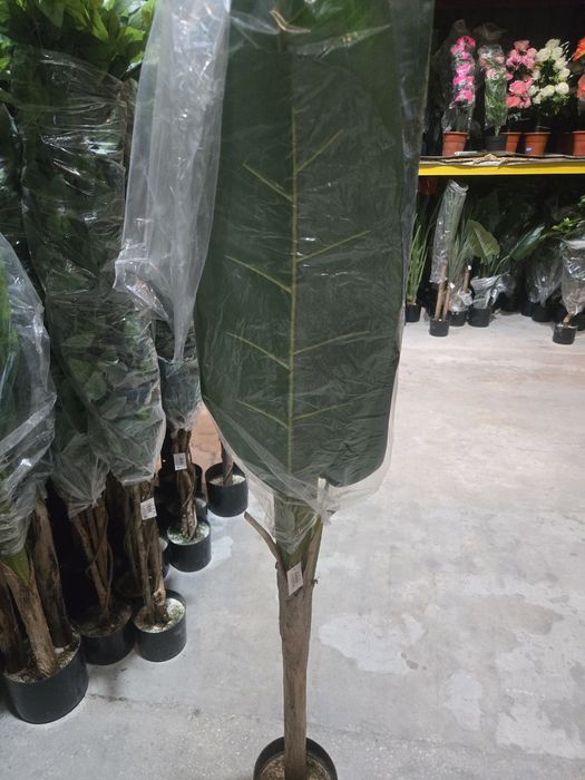 Bananeiras realistas 1 tronco lindissimas para entregas