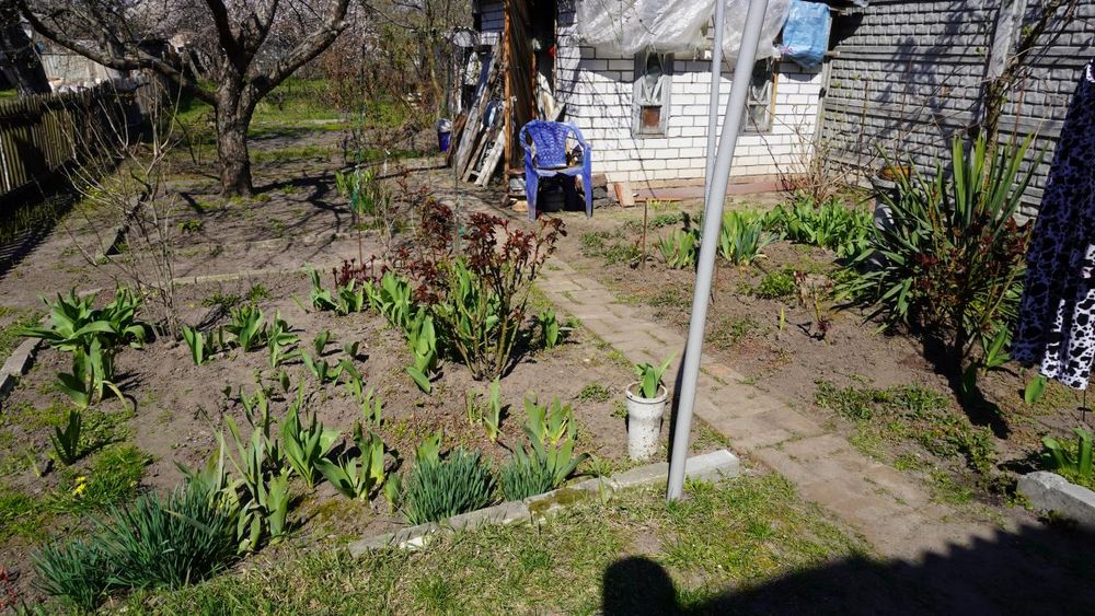 Прев'ю фото 11