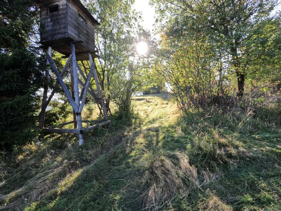 14 Działek w Soli obok Rajczy. 22 141 m². Cena tylko 20zł/m² - Widok 4