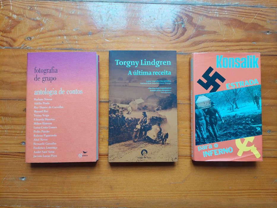 Romana Petri, Pedro Paixão, Luísa Costa Gomes, etc - Livros COMO NOVOS