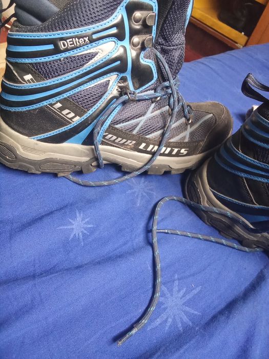 Красівки філа весна осінь, нормальний стан