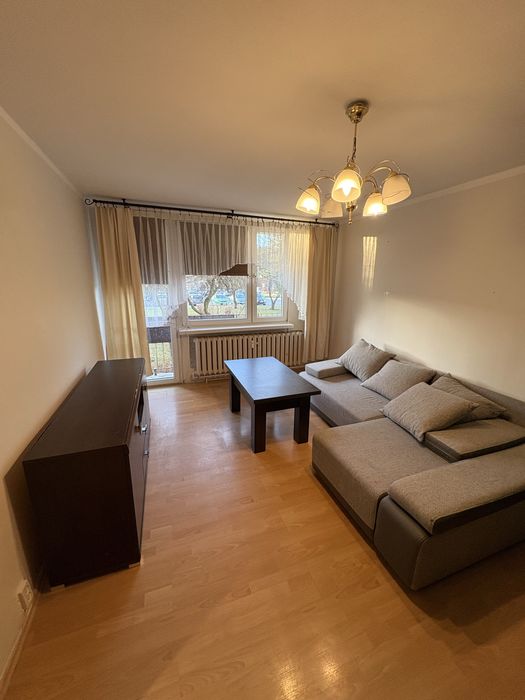 Przestronne 2 pokojowe mieszkanie do wynajęcia