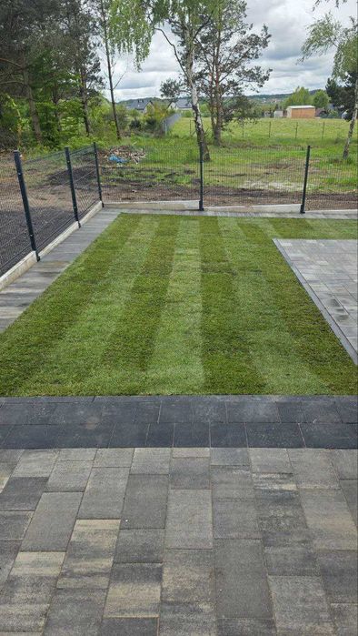 Trawa w rolce *Premium - PLANTACJA