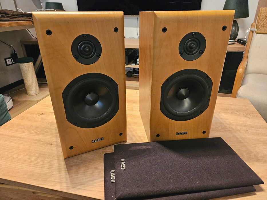Głośniki Acoustic Energy Aegis Neo One – używane, stan bardzo dobry