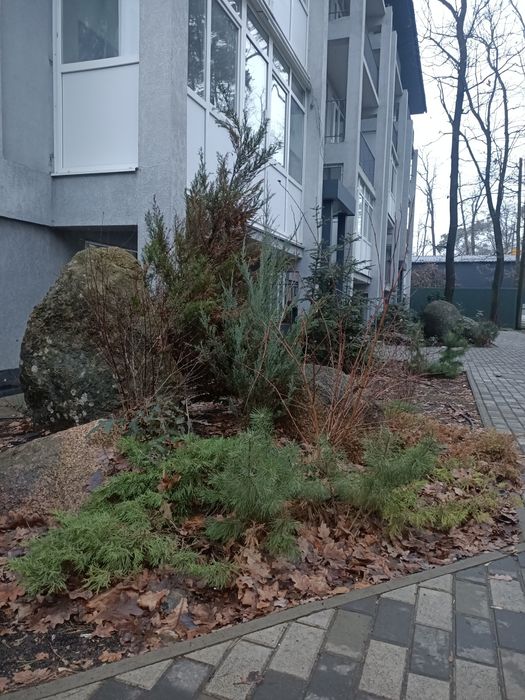 Оренда 2х кім кв в Ірпені! Вул. Полтавська!!