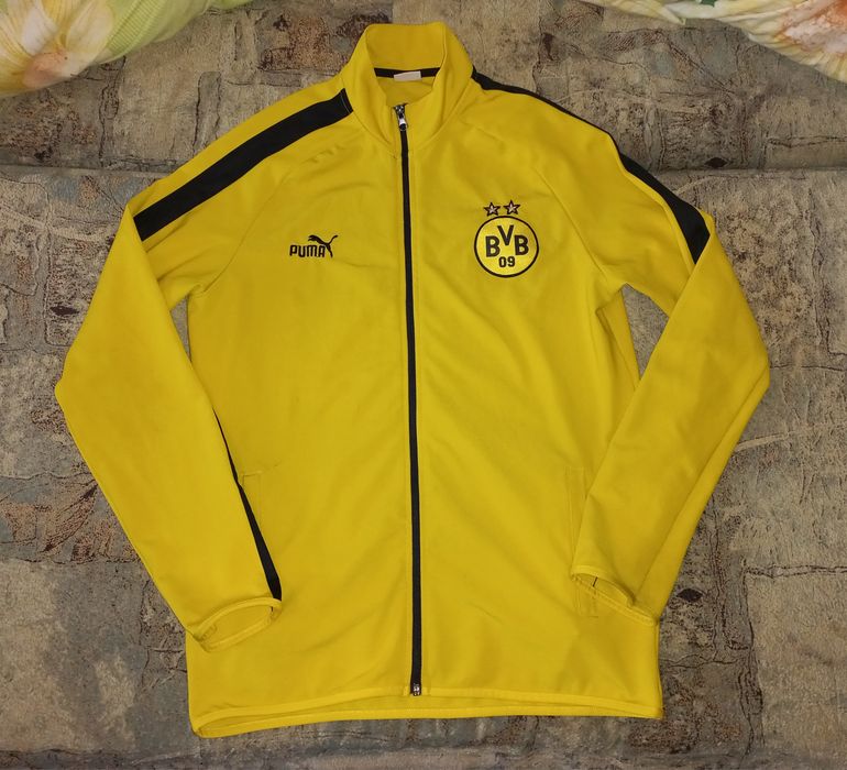 Олимпийка спортивная кофта на замке BVB Puma Боруссия Дортмунд жёлтая Borussia Dortmund, синяя Адидас тренировочная Curzon Ashton  Aeroready