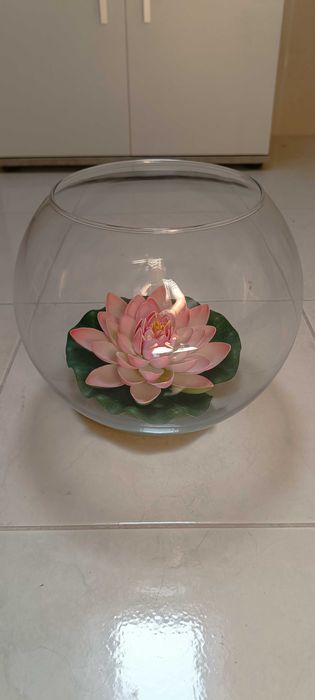 Aquário redondo 24cm diâmetro