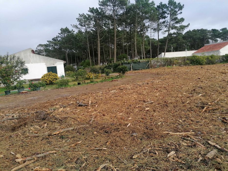 Limpezas de Terrenos e Serviços Florestais
