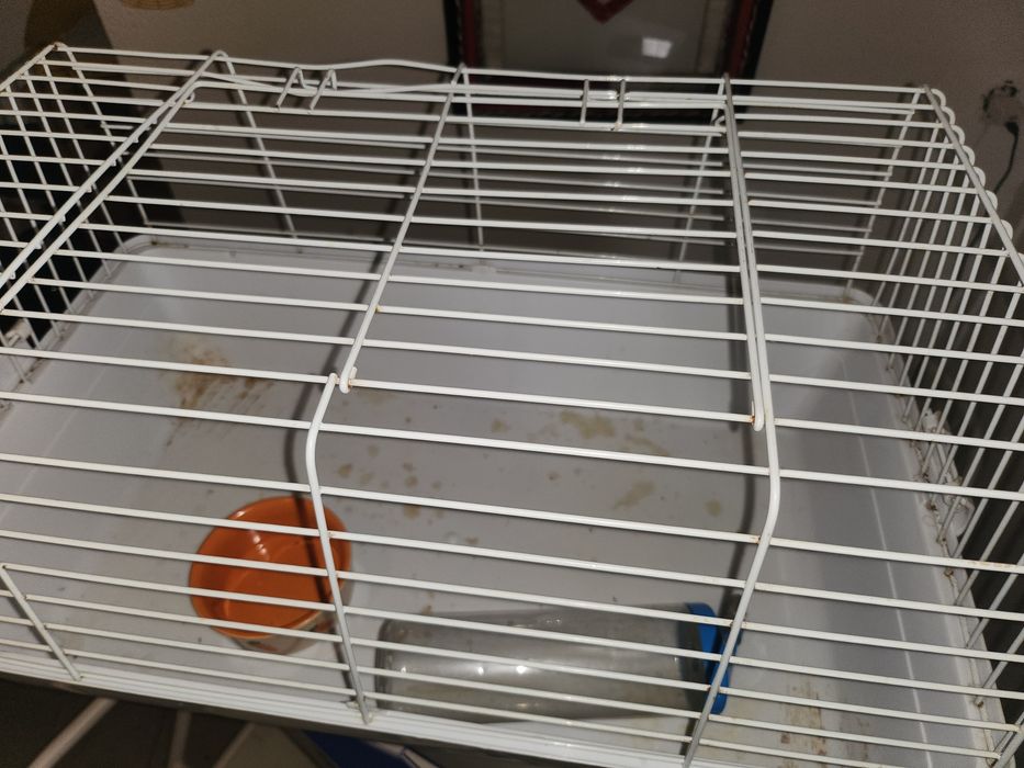 Gaiola para coelho anão
