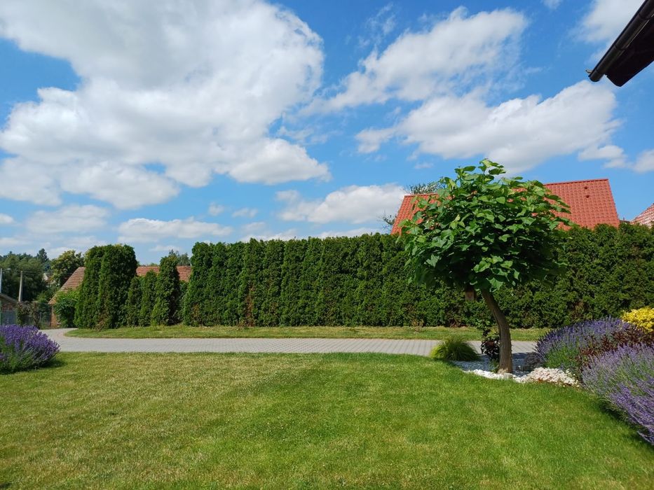 Sprzedam atrakcyjny dom z ogrodem Raszów