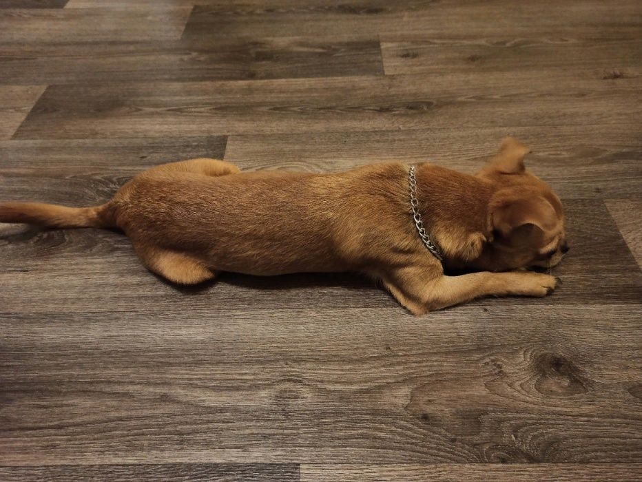 Кабель для вязки