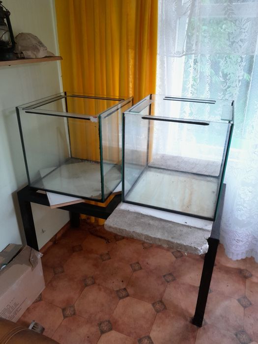 Akwaria typu kostka 50x50 125L