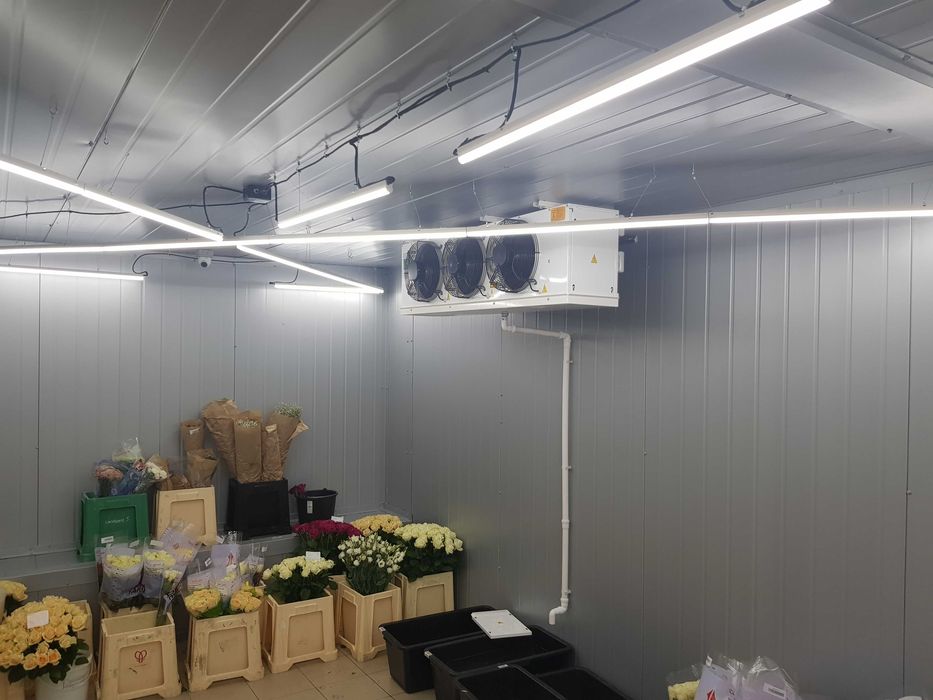 Холодильные камеры витрины, холодильник для цветов, квітів Вінниця