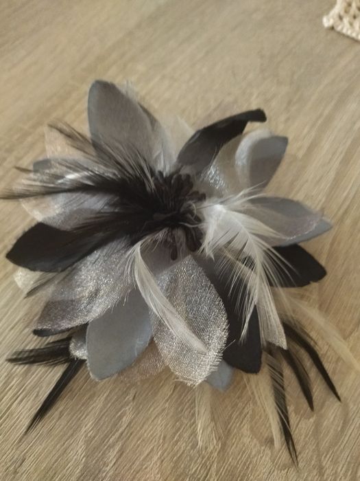 Broszka z piórkami - biżuteria przypinana