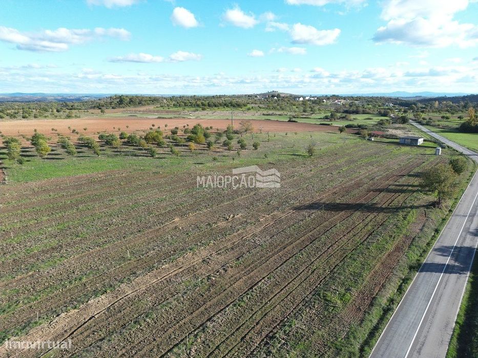 Propriedade C/Plantação de Nogueiras e Castanheiros