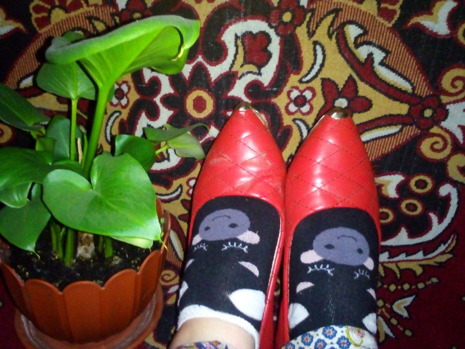 Продам Срочно!!!