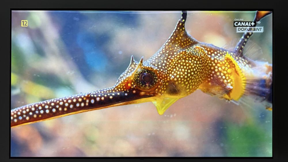 Telewizor LG 65B7V 65" OLED 4K 120Hz WebOS Dolby Atmos