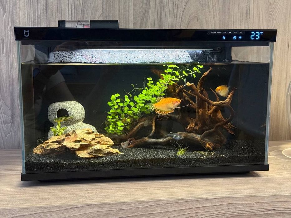 НОВИЙ !! Розумний акваріум Xiaomi Mijia Smart Fish Tank MYG100 20 літр