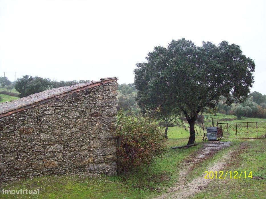 Herdade do Monte da Pedra.