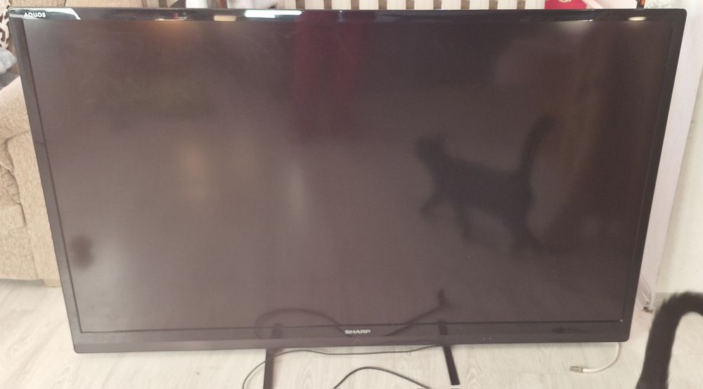 Telewizor Sharp 55 cali