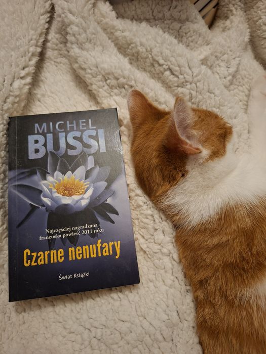 Czarne nenufary. Michel Bussi.