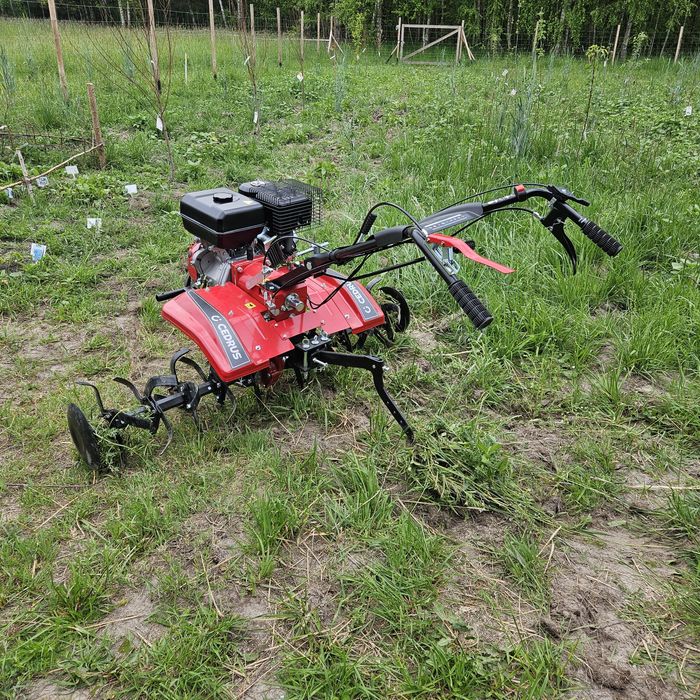 Glebogryzarka Cedrus GL 06 + przyczepka hecht