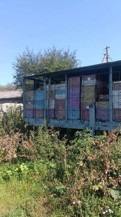 Продається пересувний павільйон з вуликами
