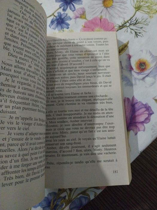 Les mésaventures de Minty Malone. Portes incluídos