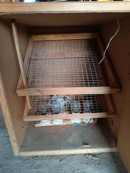 Інкубатор під ремонт