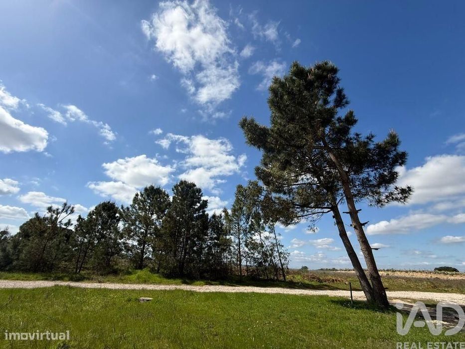 Terreno Agrícola em Palmela