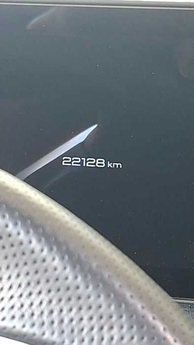 Peugeot E 3008 - Salvado