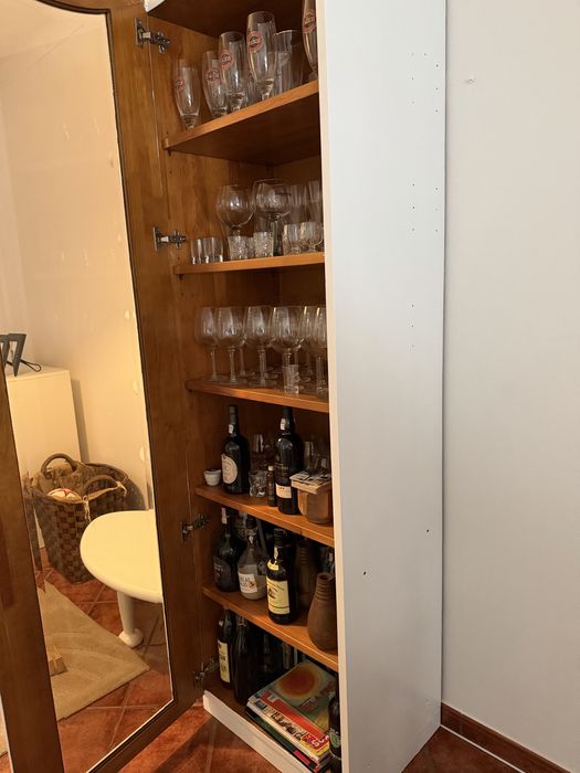 Móvel Vitrine c/ porta e prateleiras