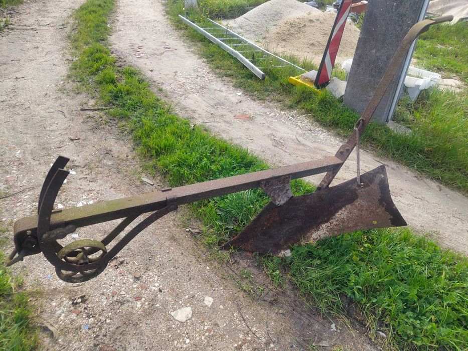 Charrua antiga das vacas