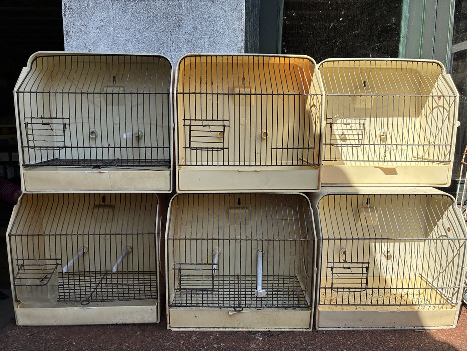 Doze gaiolas de exposição para pássaro