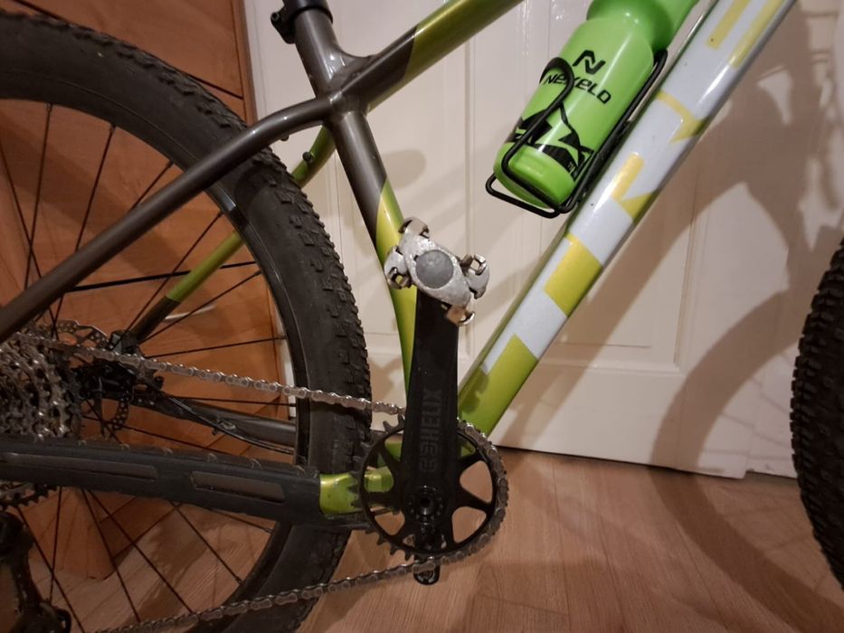 Rower TREK 2024 procaliber 8 r. M