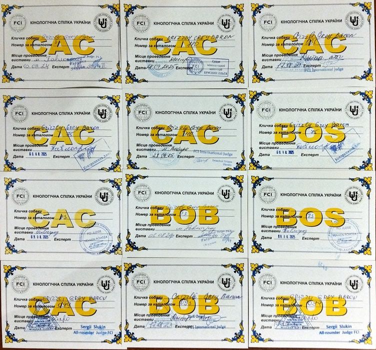 Кавказская овчарка КСУ кобель для вязки