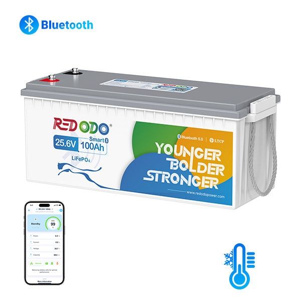 Акумулятор Redodo 24V 100Ah LiFePO4 BMS 100A Bluetooth, новий