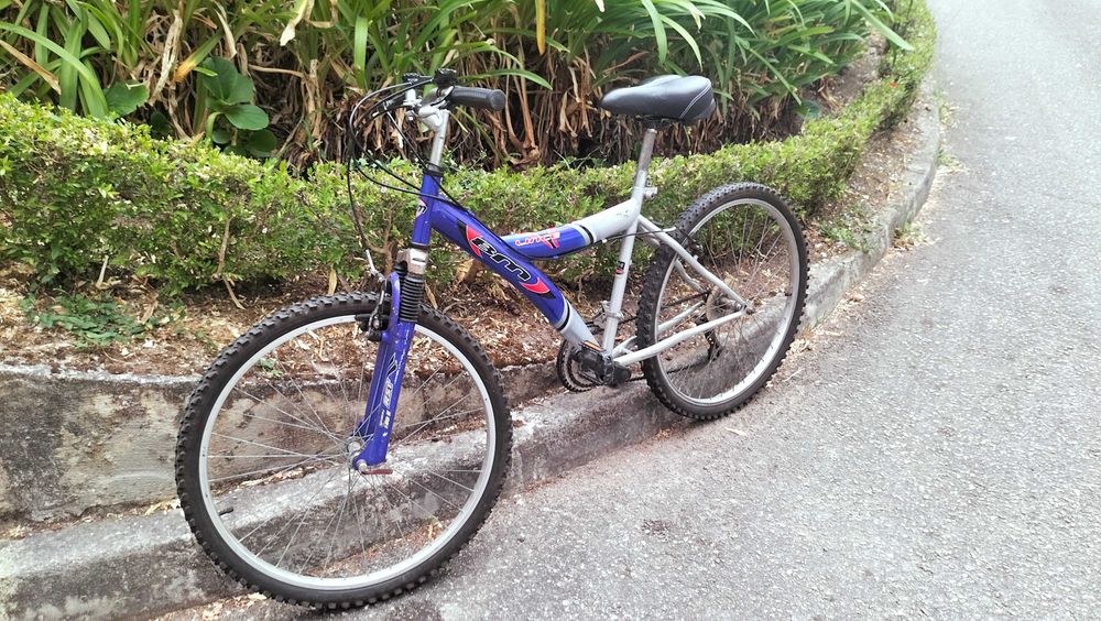 Bicicleta de montanha