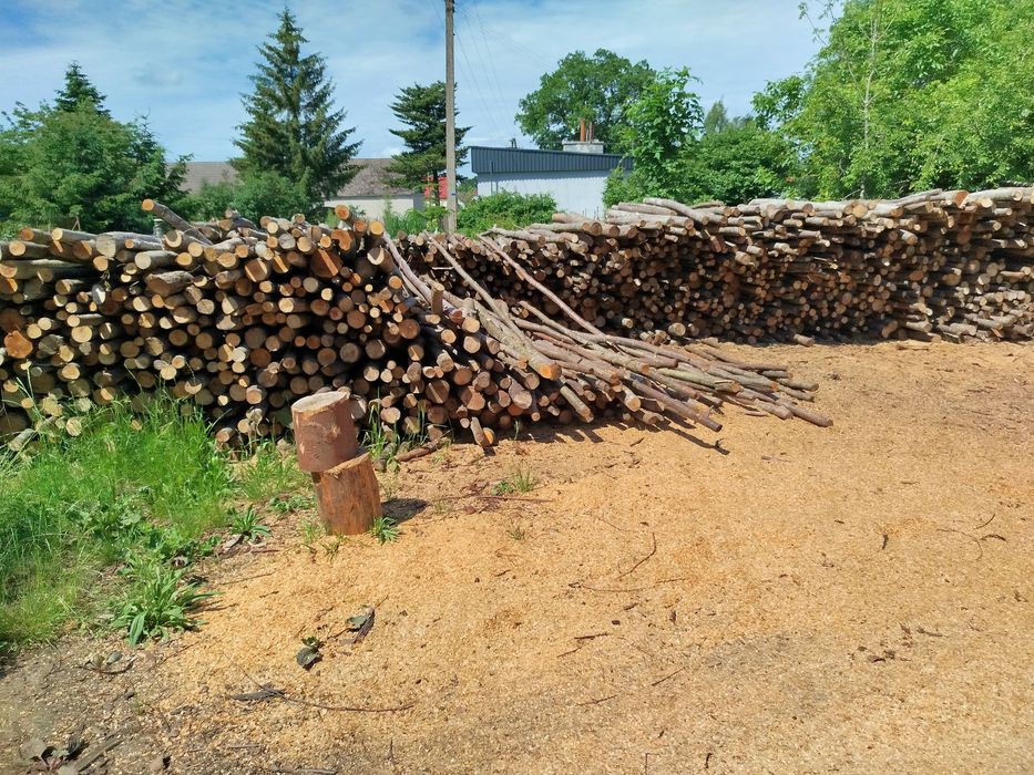 Olcha drewno opałowe