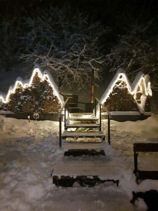 Котедж біля лісу