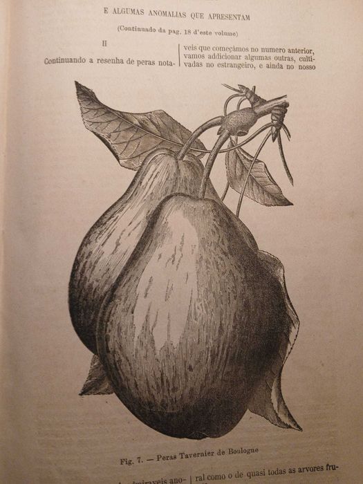 O Agricultor Portuguez, Volume 6 Nº2 1883
