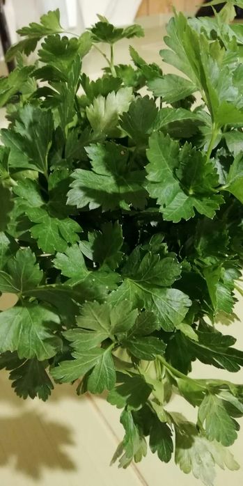 Pietruszka ekologiczna