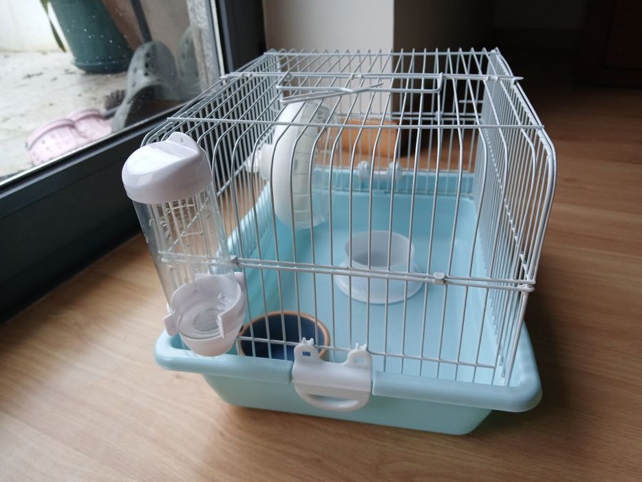 Kit completo hamster